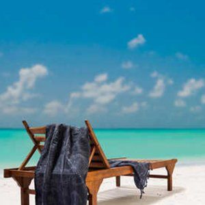 NWT Whitley Willows Sand Free Beach Towel